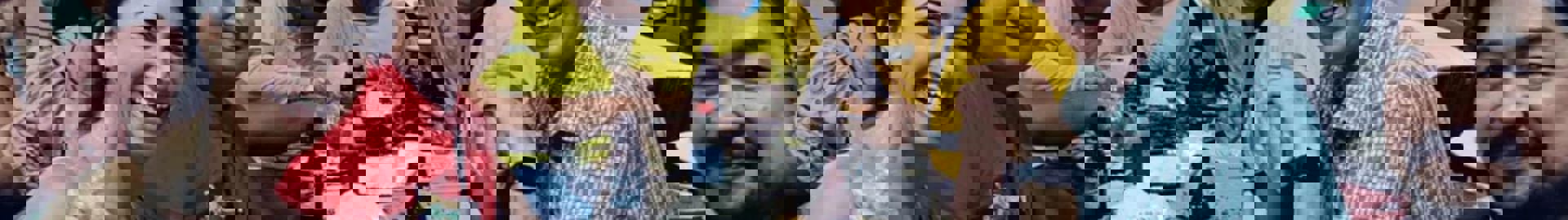 Luciana Capuano Mascarenhas ASEP Monitoring And Evaluation 4